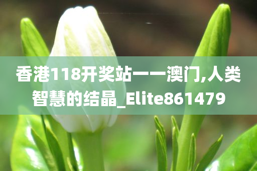 香港118开奖站一一澳门,人类智慧的结晶_Elite861479