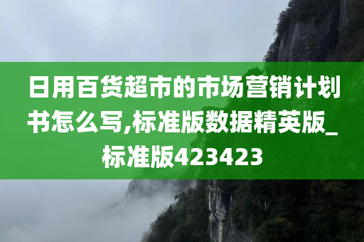 日用百货超市的市场营销计划书怎么写,标准版数据精英版_标准版423423