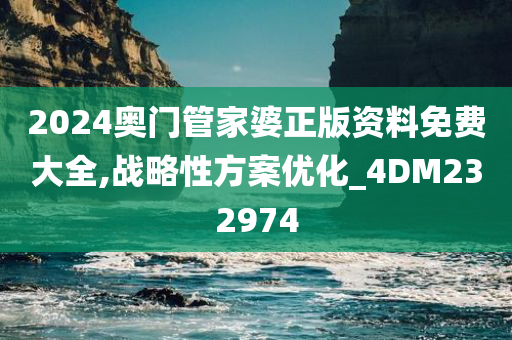 2024奥门管家婆正版资料免费大全,战略性方案优化_4DM232974