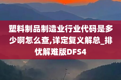 塑料制品制造业行业代码是多少啊怎么查,详定复义解总_排忧解难版DFS4