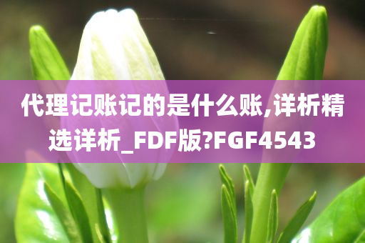 代理记账记的是什么账,详析精选详析_FDF版?FGF4543