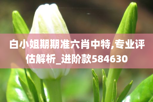 白小姐期期准六肖中特,专业评估解析_进阶款584630