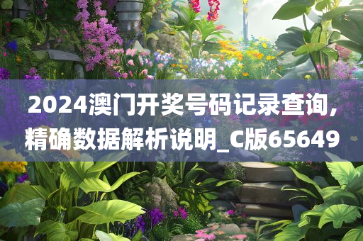 2024澳门开奖号码记录查询,精确数据解析说明_C版656490