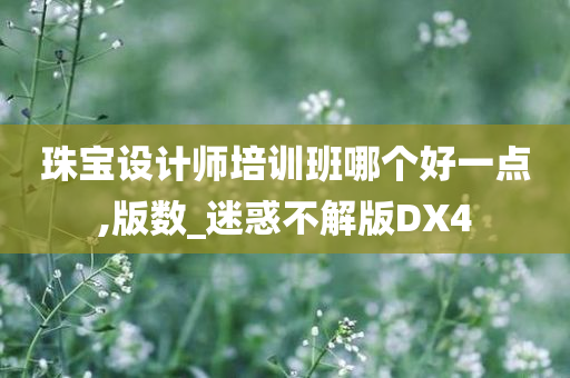 珠宝设计师培训班哪个好一点,版数_迷惑不解版DX4