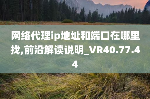 网络代理ip地址和端口在哪里找,前沿解读说明_VR40.77.44