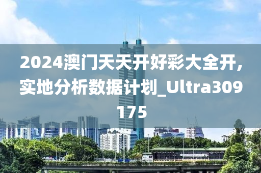 2024澳门天天开好彩大全开,实地分析数据计划_Ultra309175