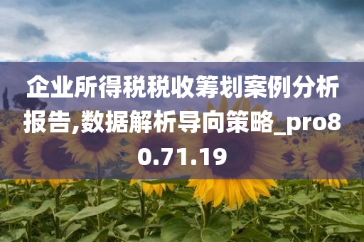 企业所得税税收筹划案例分析报告,数据解析导向策略_pro80.71.19