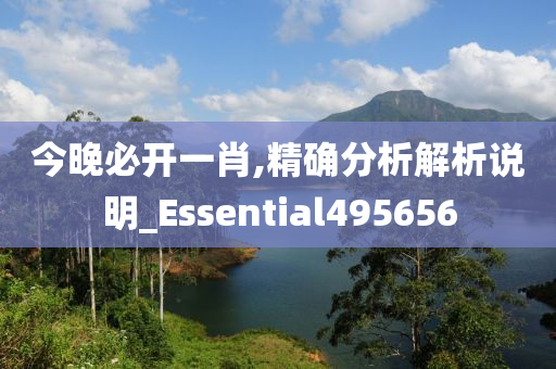 今晚必开一肖,精确分析解析说明_Essential495656