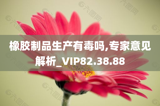 橡胶制品生产有毒吗,专家意见解析_VIP82.38.88