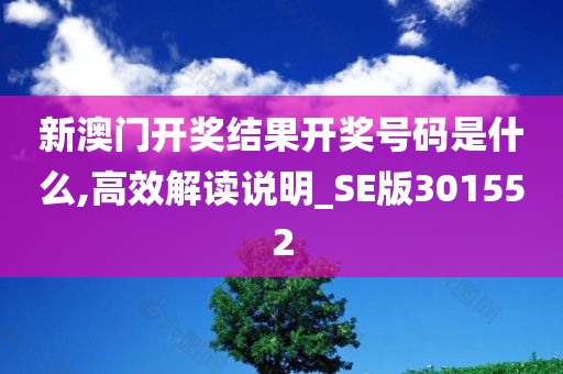 新澳门开奖结果开奖号码是什么,高效解读说明_SE版301552