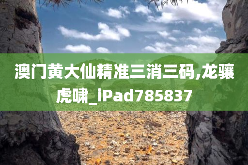 澳门黄大仙精准三消三码,龙骧虎啸_iPad785837