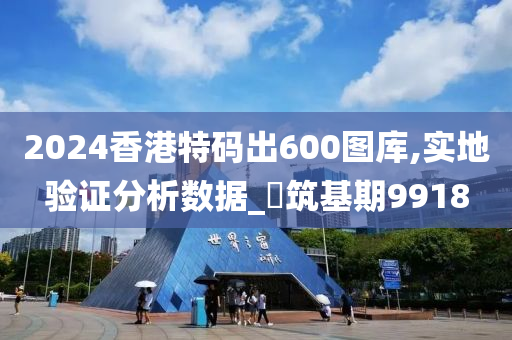 2024香港特码出600图库,实地验证分析数据_‌筑基期9918