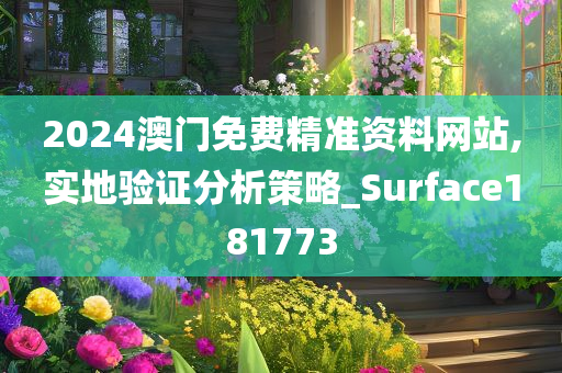 2024澳门免费精准资料网站,实地验证分析策略_Surface181773