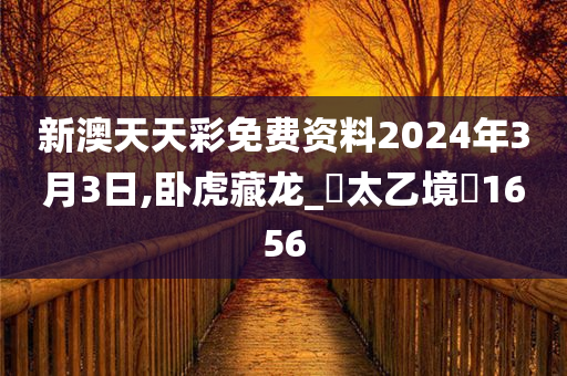 新澳天天彩免费资料2024年3月3日,卧虎藏龙_‌太乙境‌1656