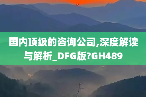 国内顶级的咨询公司,深度解读与解析_DFG版?GH489