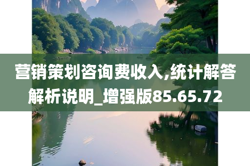 营销策划咨询费收入,统计解答解析说明_增强版85.65.72