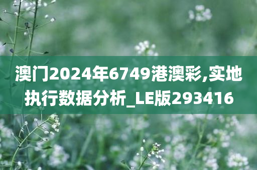 澳门2024年6749港澳彩,实地执行数据分析_LE版293416