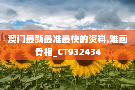 澳门最新最准最快的资料,难画骨相_CT932434