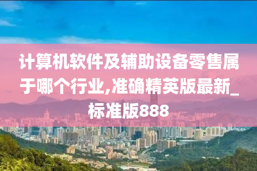 计算机软件及辅助设备零售属于哪个行业,准确精英版最新_标准版888