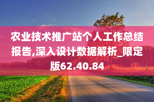 农业技术推广站个人工作总结报告,深入设计数据解析_限定版62.40.84