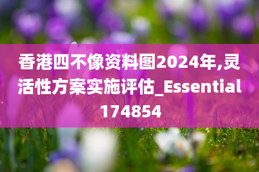 香港四不像资料图2024年,灵活性方案实施评估_Essential174854