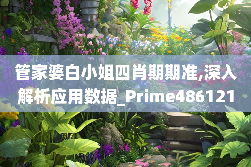 管家婆白小姐四肖期期准,深入解析应用数据_Prime486121