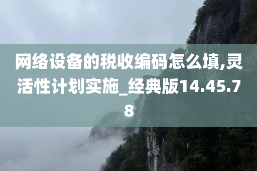 网络设备的税收编码怎么填,灵活性计划实施_经典版14.45.78