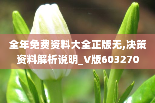 全年免费资料大全正版无,决策资料解析说明_V版603270