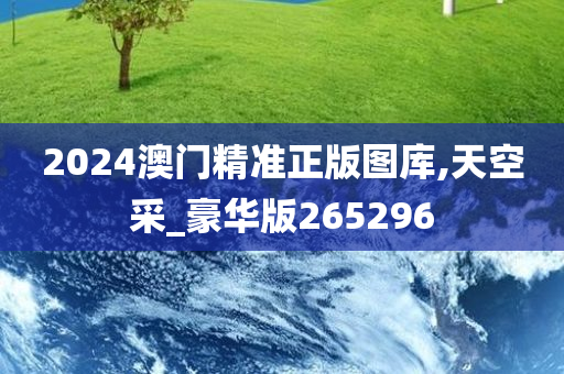 2024澳门精准正版图库,天空采_豪华版265296