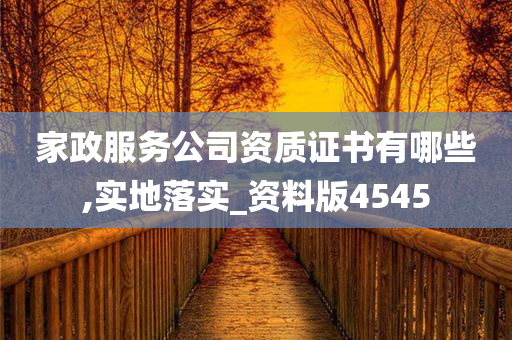 家政服务公司资质证书有哪些,实地落实_资料版4545