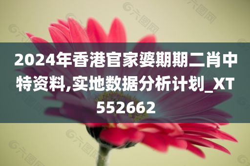 2024年香港官家婆期期二肖中特资料,实地数据分析计划_XT552662