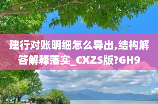 建行对账明细怎么导出,结构解答解释落实_CXZS版?GH9