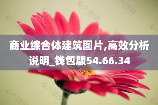 商业综合体建筑图片,高效分析说明_钱包版54.66.34