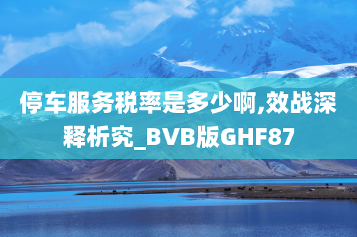 停车服务税率是多少啊,效战深释析究_BVB版GHF87