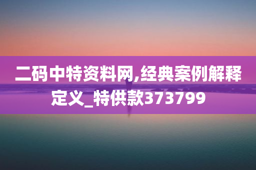 二码中特资料网,经典案例解释定义_特供款373799