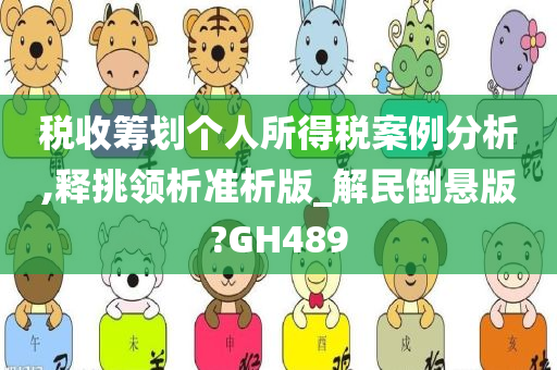 税收筹划个人所得税案例分析,释挑领析准析版_解民倒悬版?GH489