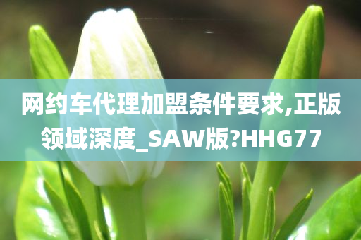 网约车代理加盟条件要求,正版领域深度_SAW版?HHG77