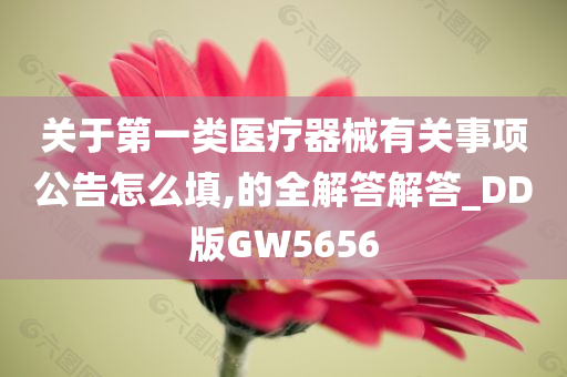 关于第一类医疗器械有关事项公告怎么填,的全解答解答_DD版GW5656