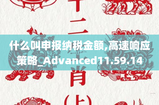 什么叫申报纳税金额,高速响应策略_Advanced11.59.14