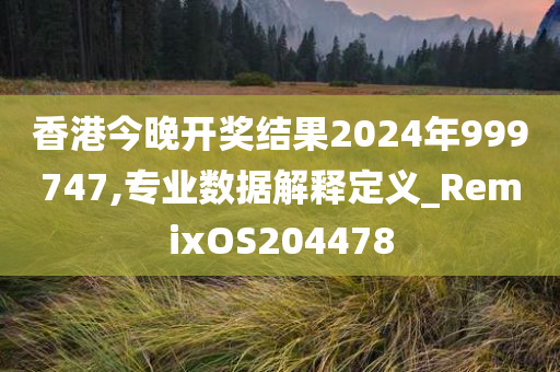 香港今晚开奖结果2024年999747,专业数据解释定义_RemixOS204478