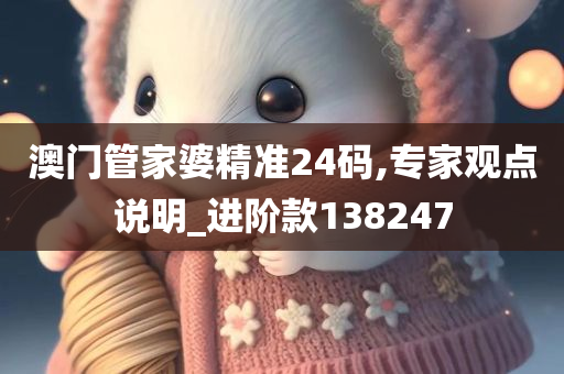 澳门管家婆精准24码,专家观点说明_进阶款138247