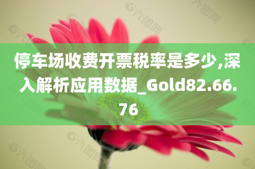 停车场收费开票税率是多少,深入解析应用数据_Gold82.66.76