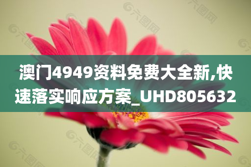 澳门4949资料免费大全新,快速落实响应方案_UHD805632