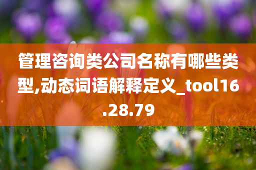 管理咨询类公司名称有哪些类型,动态词语解释定义_tool16.28.79