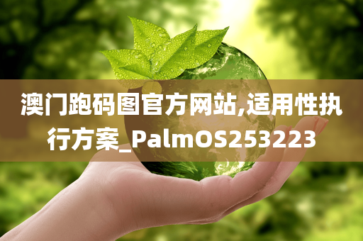 澳门跑码图官方网站,适用性执行方案_PalmOS253223