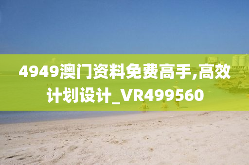 4949澳门资料免费高手,高效计划设计_VR499560