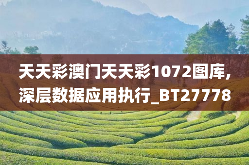 天天彩澳门天天彩1072图库,深层数据应用执行_BT277780