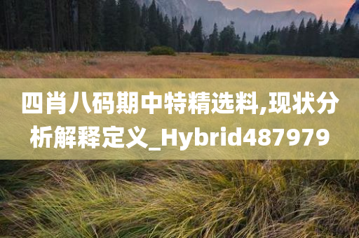 四肖八码期中特精选料,现状分析解释定义_Hybrid487979