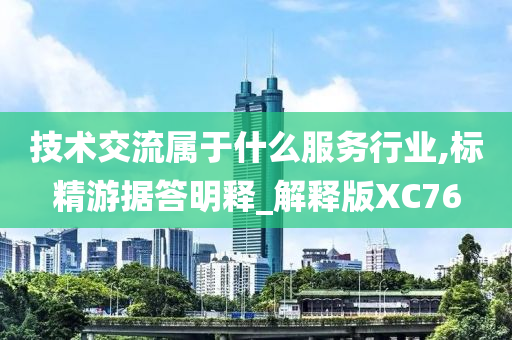 技术交流属于什么服务行业,标精游据答明释_解释版XC76