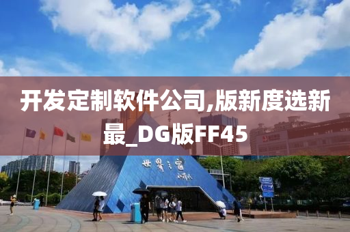 开发定制软件公司,版新度选新最_DG版FF45